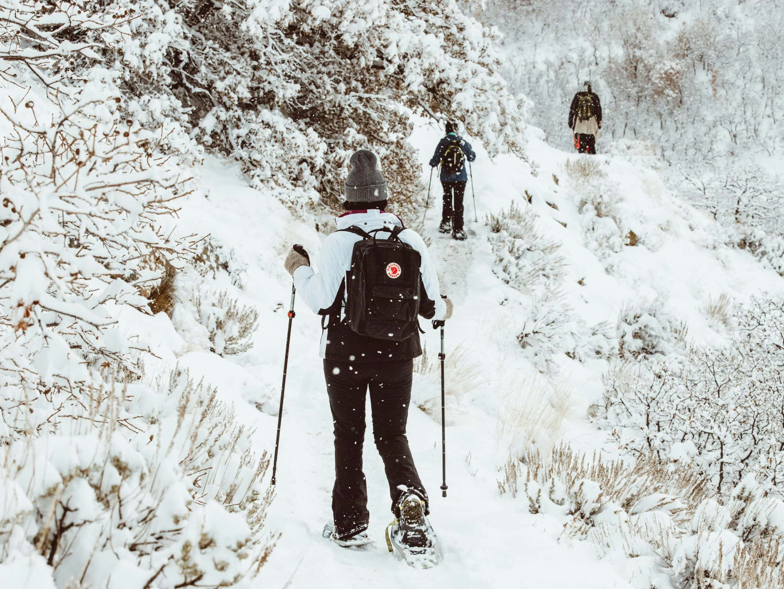 Best Snowshoes for Winter Hiking in 2026: Flotation, Traction, and Matching the Terrain