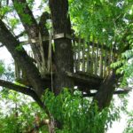 a tree stand for hunting