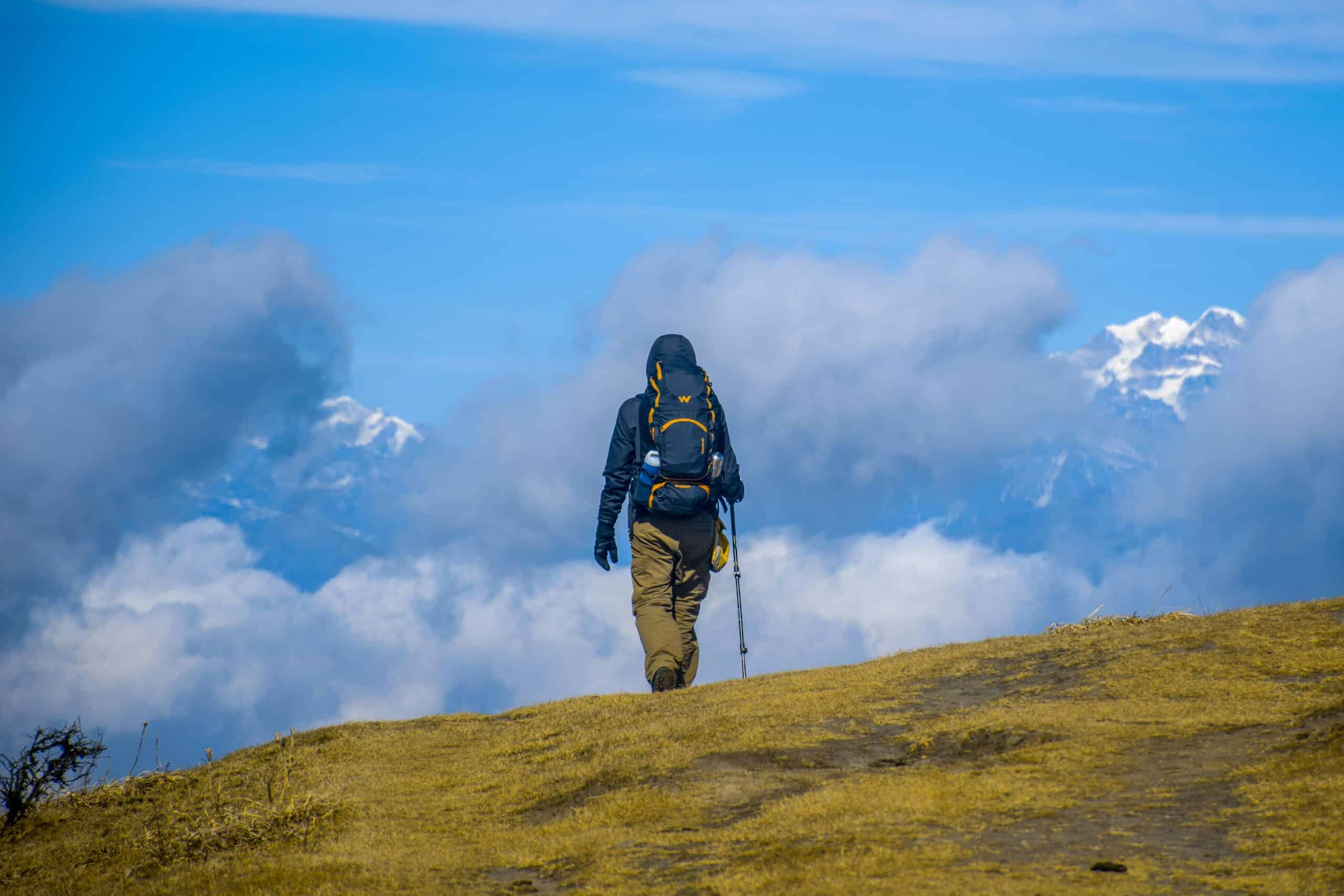 Do Trekking Poles Actually Help: Load Transfer, Descents, and Trade-Offs