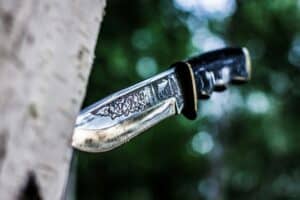 a machete knife in a tree