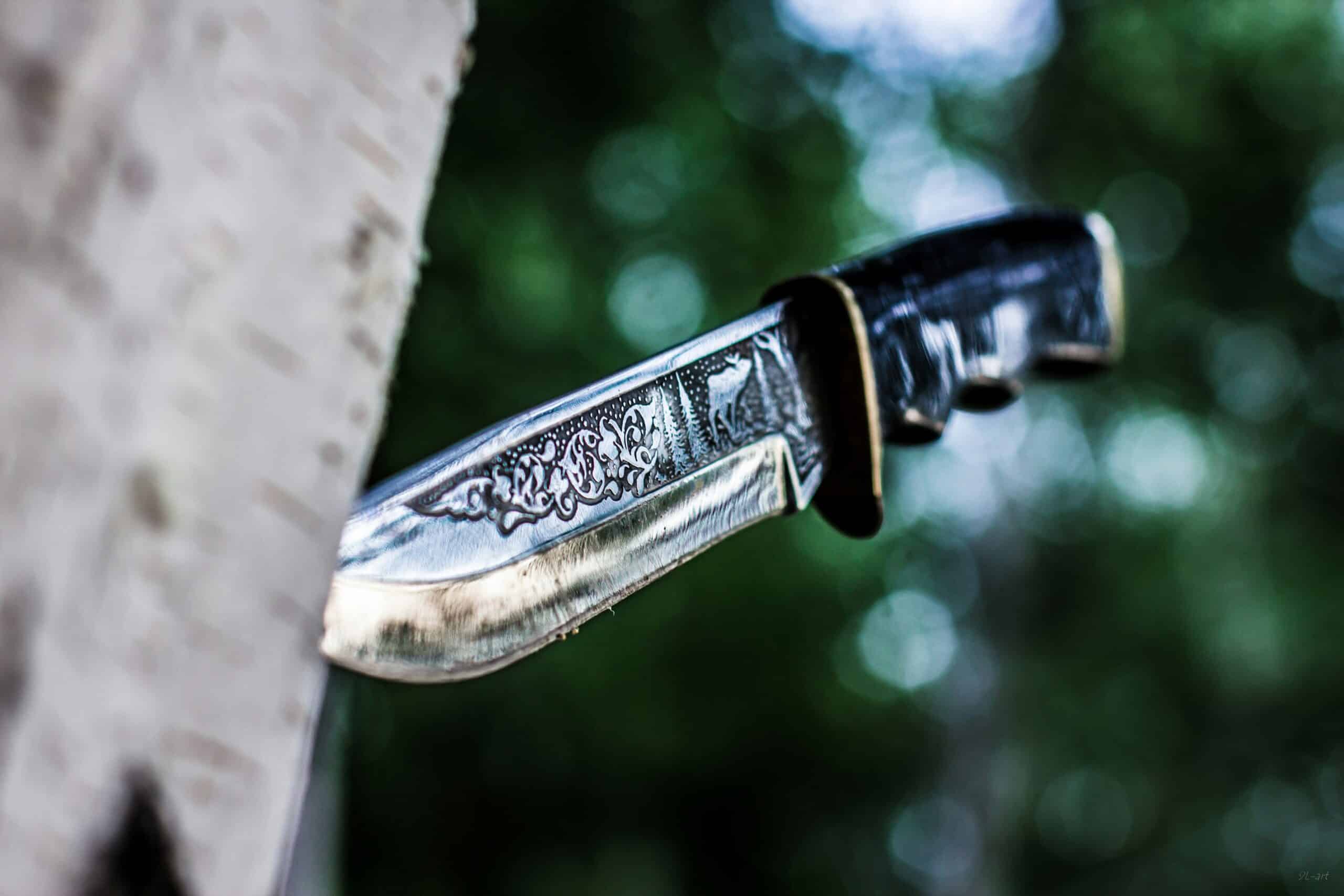 Best Machetes for Bushcraft in 2026: Which Blade Shape Actually Suits the Work You Do