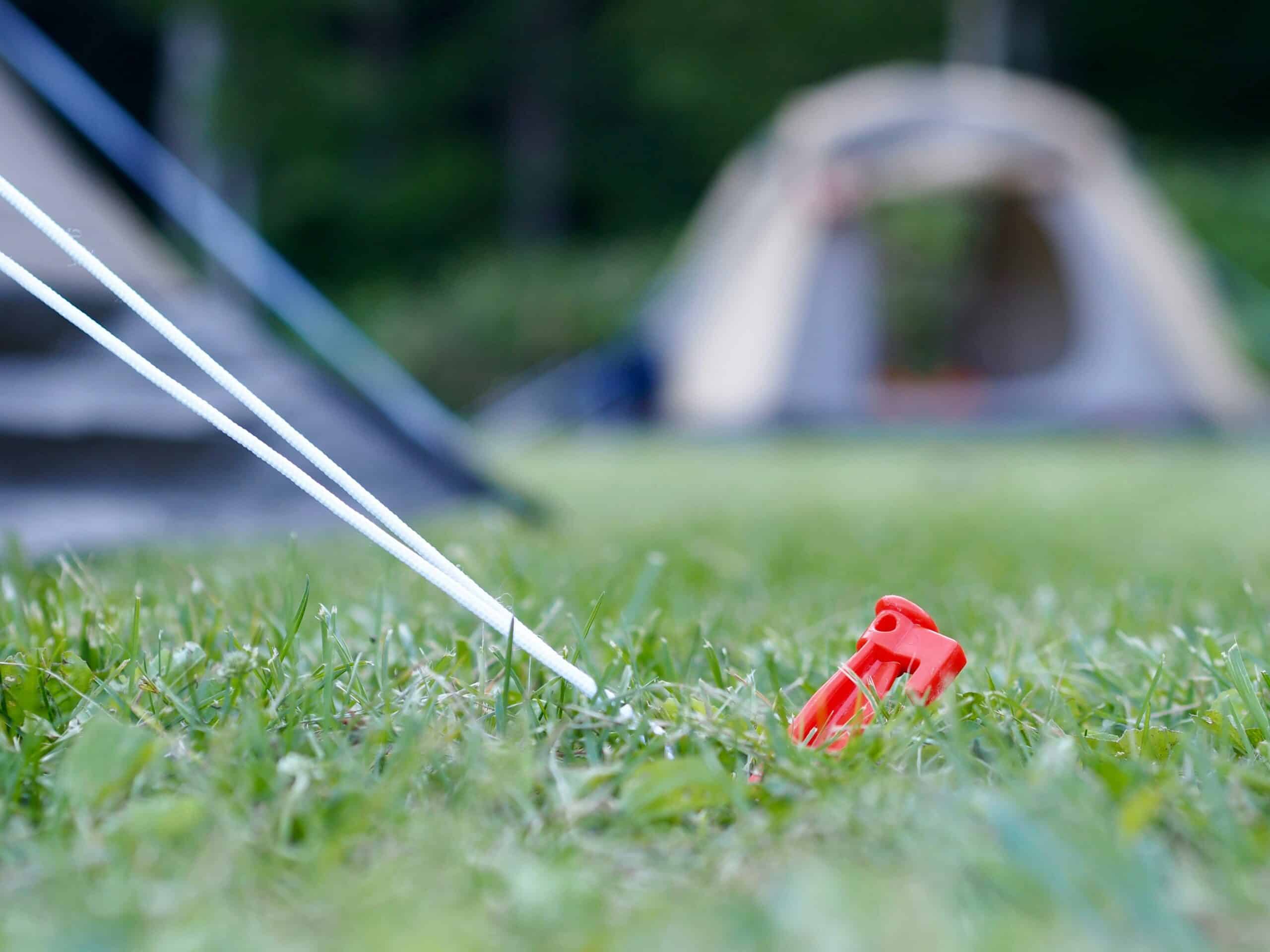 Best Tent Stakes and Guylines in 2026: The Parts That Actually Hold a Tent Down