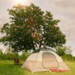 a tent under a tree outdoors