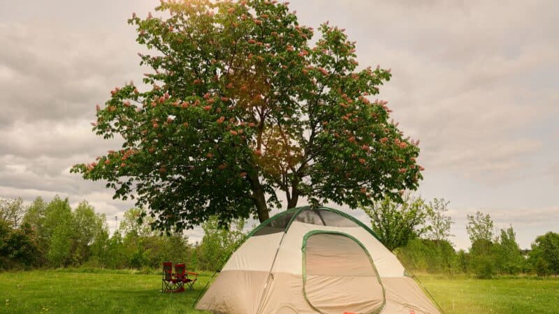 How Long Do Tents Last: Nights Used, Storage, and What Actually Fails First
