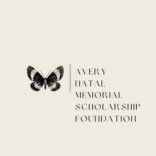 web design client avery natal foundation