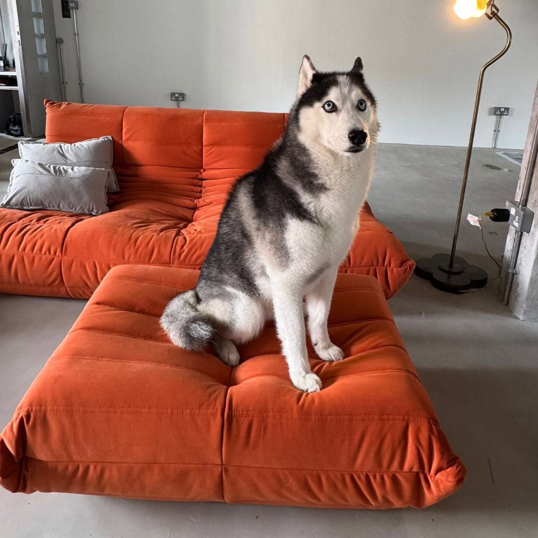 Sammie Hydrotex&trade; Sofa, pet-friendly fabric