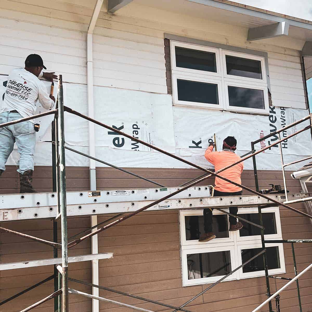 Paradise Painting