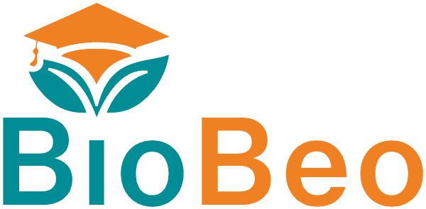 BioBeo Blended Intensive Programme