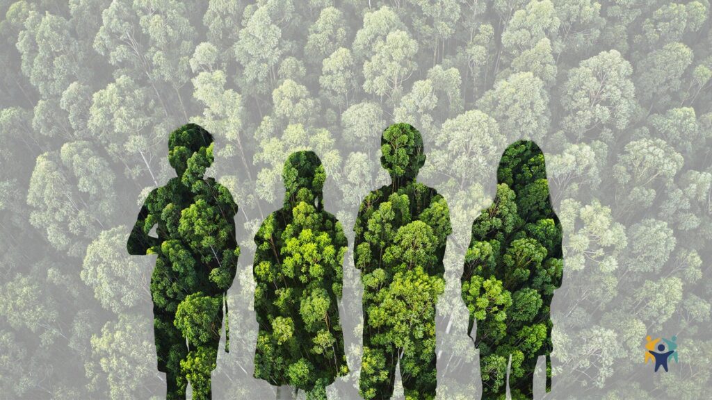 Cover image illustrating schools as a living ecosystem, showing interconnected elements that represent the whole-school approach to learning and wellbeing.