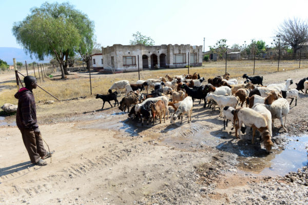 mogalakwena municipality33
