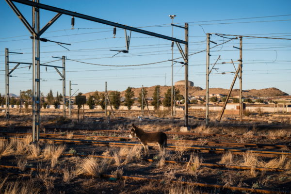 DE AAR, EMTHANJENI - 28 August 2021 - A donkey stands on the railway tracks near the railway station Photo: Bram Lammers