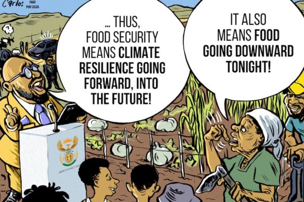 The lack of urgency to implement adaptation strategies ignores South Africa’s particular vulnerability to climate change, created by a combination of climate risk – particularly in respect of the food and water sectors – and high levels of poverty and inequality, which will amplify the negative impact of adverse climate events.