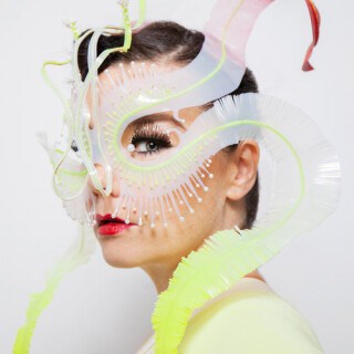 Björk on Partybody.
