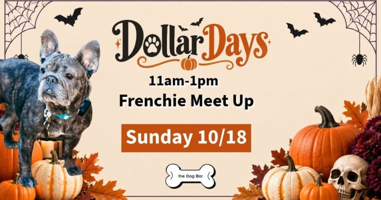 Frenchie Meetup $1 Days at 2300 Central Ave, Saint Petersburg, FL, United States, Florida 33712