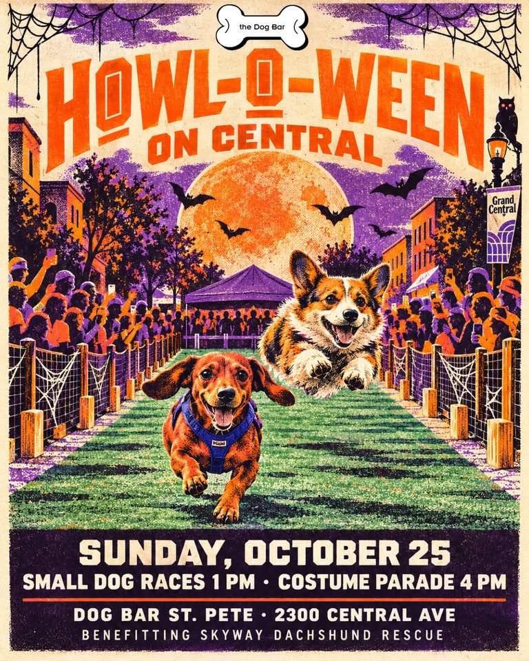 Howl-O-Ween Races at 2300 Central Ave, Saint Petersburg, FL, United States, Florida 33712