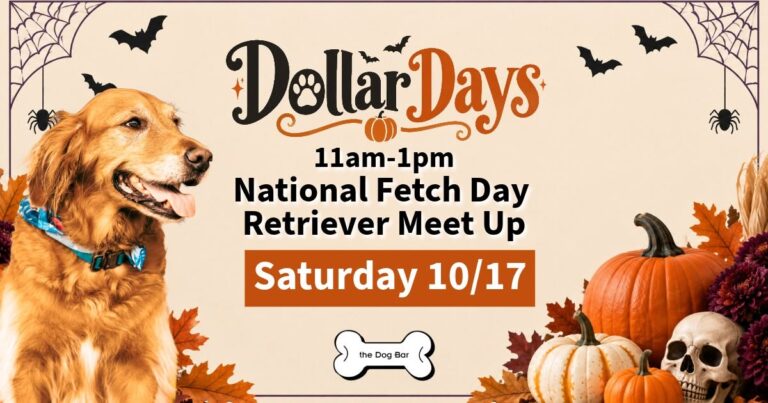 National Fetch Day- Retriever $1 Days at 2300 Central Ave, Saint Petersburg, FL, United States, Florida 33712