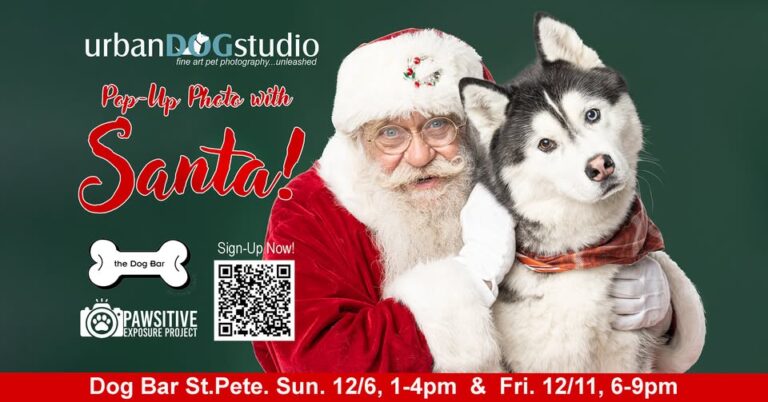Photos With Santa-Urban Dog Studio at Dog Bar St. Pete at Dog Bar St. Pete