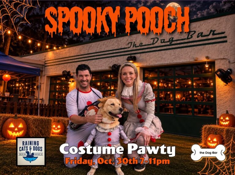 Spooky Pooch at 2300 Central Ave, Saint Petersburg, FL, United States, Florida 33712