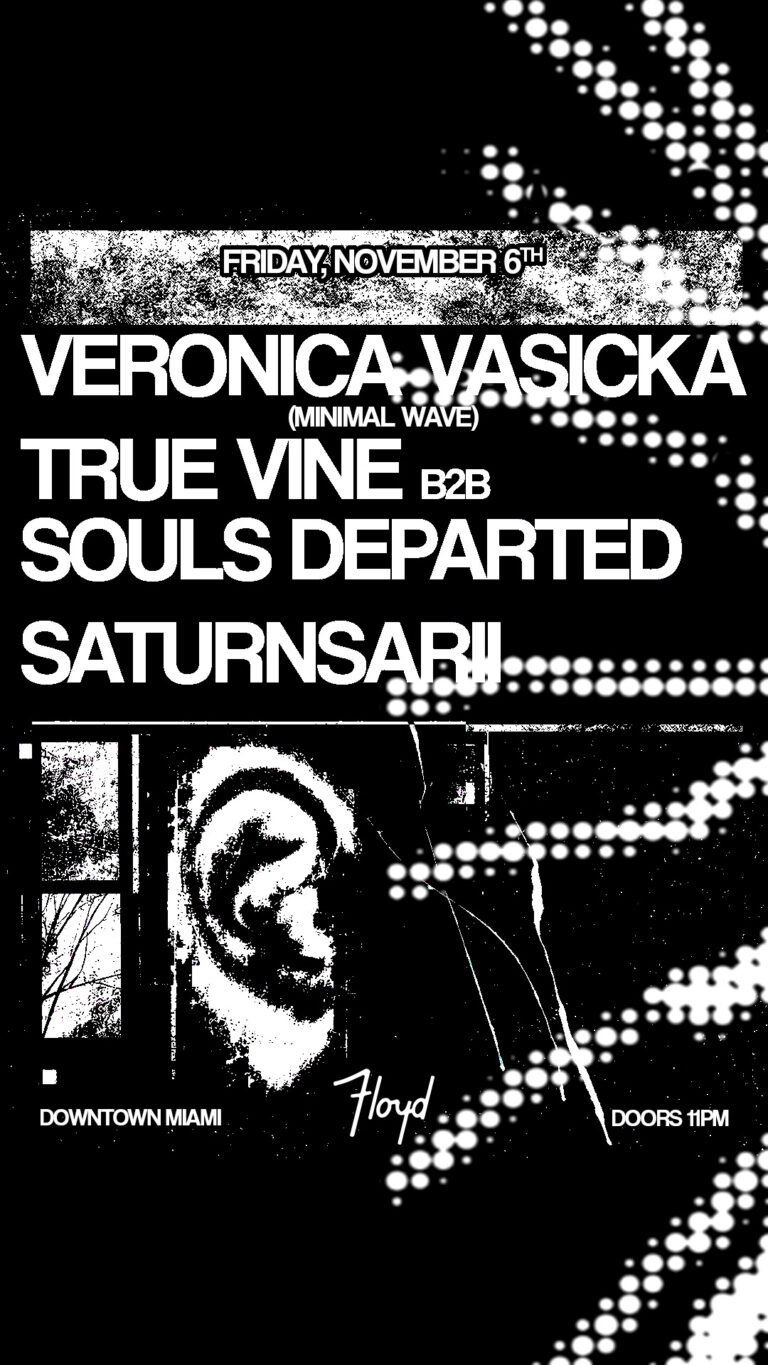 Veronica Vasicka [Minimal Wave] at Floyd
