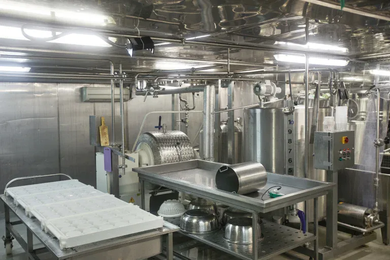 Stainless steel dairy processing room with various equipment and containers.