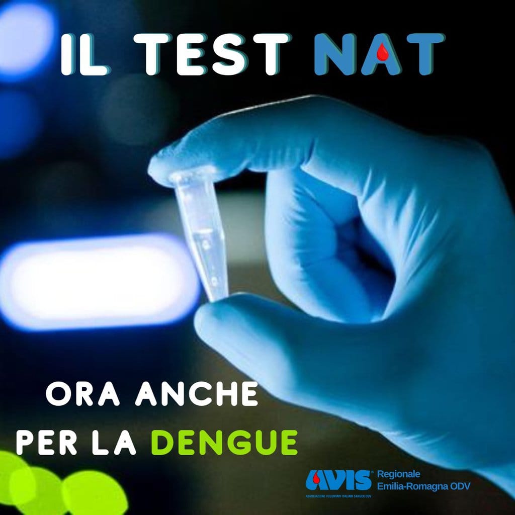 Test Nat