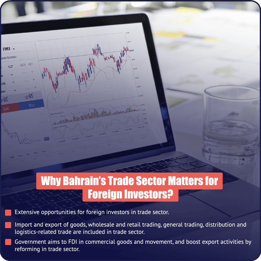 PI Startup Advisory overview of Bahrain trade sector opportunities for foreign investors using market data on a laptop.