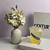 PET cold cups filled with drinks are placed on the bar counter. PET cups are suitable for juice shops, coffee shops, soft drink shops, and bubble tea shops.
