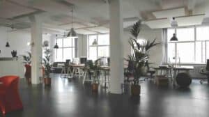 The image shows a spacious, well-lit office with indoor plants