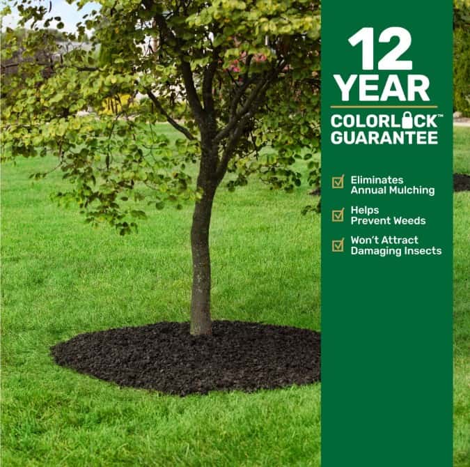 Rubber Mulch Playground Surfacing - Image 9