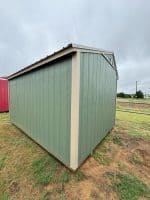 A long, light green shed with tan trim on its edges, corner, and roofline sits on a patch of grass and dirt under an overcast sky. The siding is vertically paneled. A red shed is partially visible to the far left. In the background, there's a fence, some distant trees, and a utility pole.