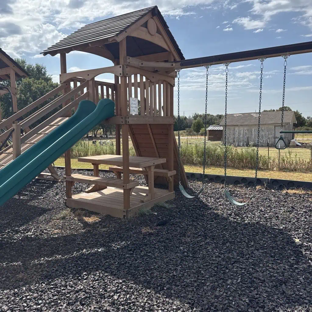 Children's outdoor playset with slide, swings, and climbing area in Texas backyard.
