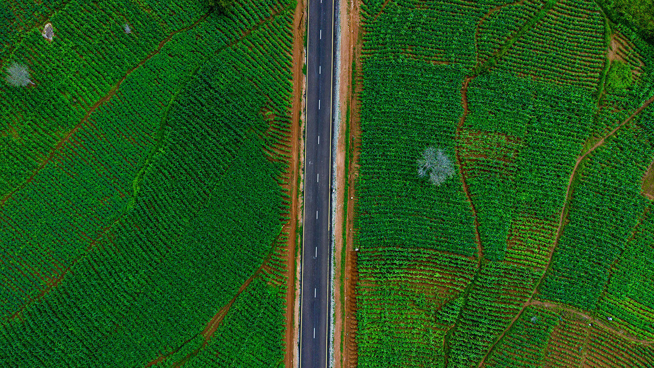 Road with green fields