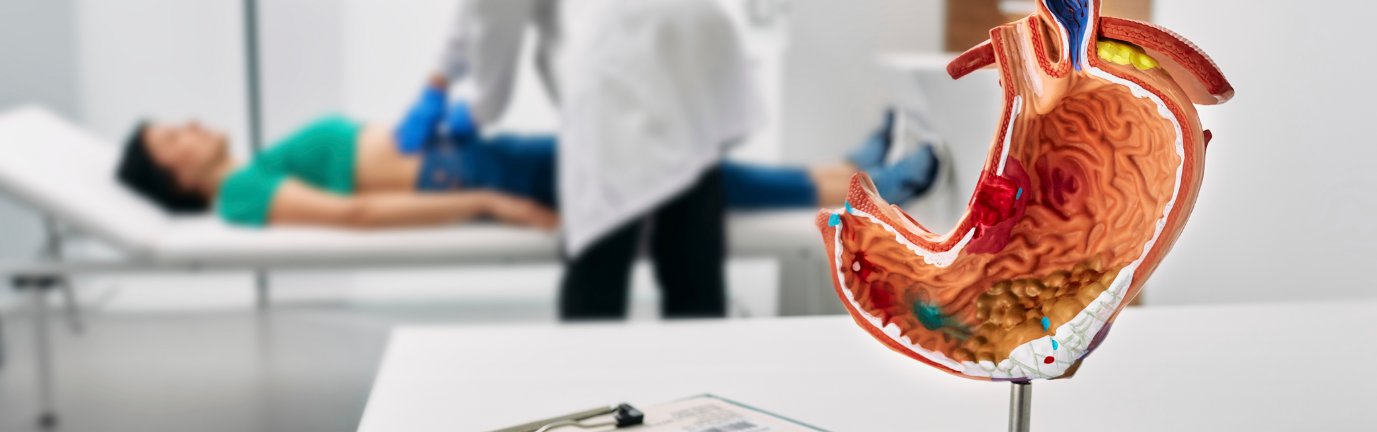 Modello anatomico dello stomaco in primo piano con medico che esegue esame ecografico addominale su paziente sdraiata