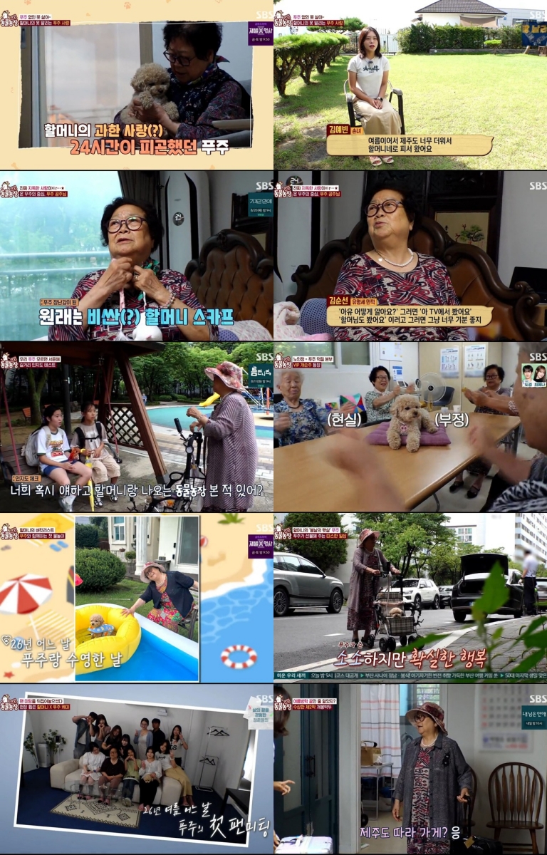 90세 할머니와 견손주 푸주의 TV 동물농장 후속 이야기
