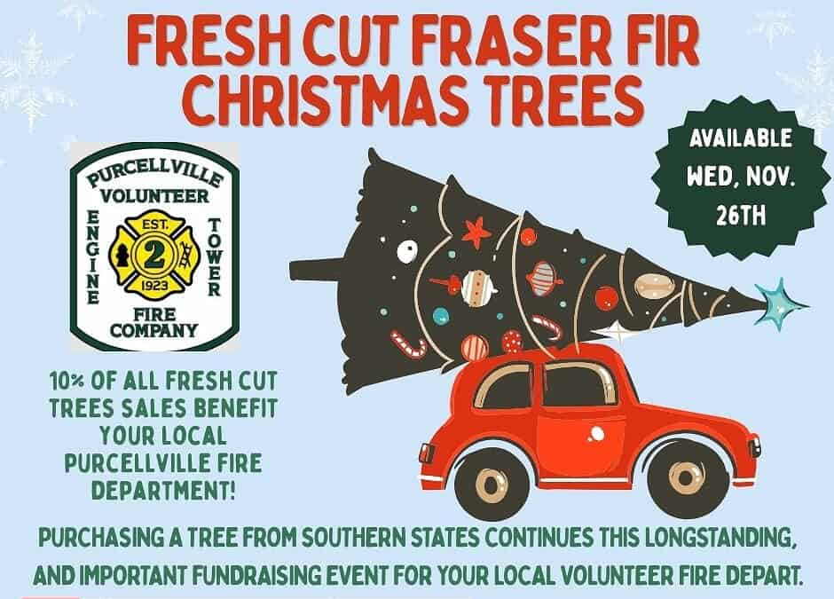 PVFC & PVRS Press Release – Christmas Tree Sales 2025