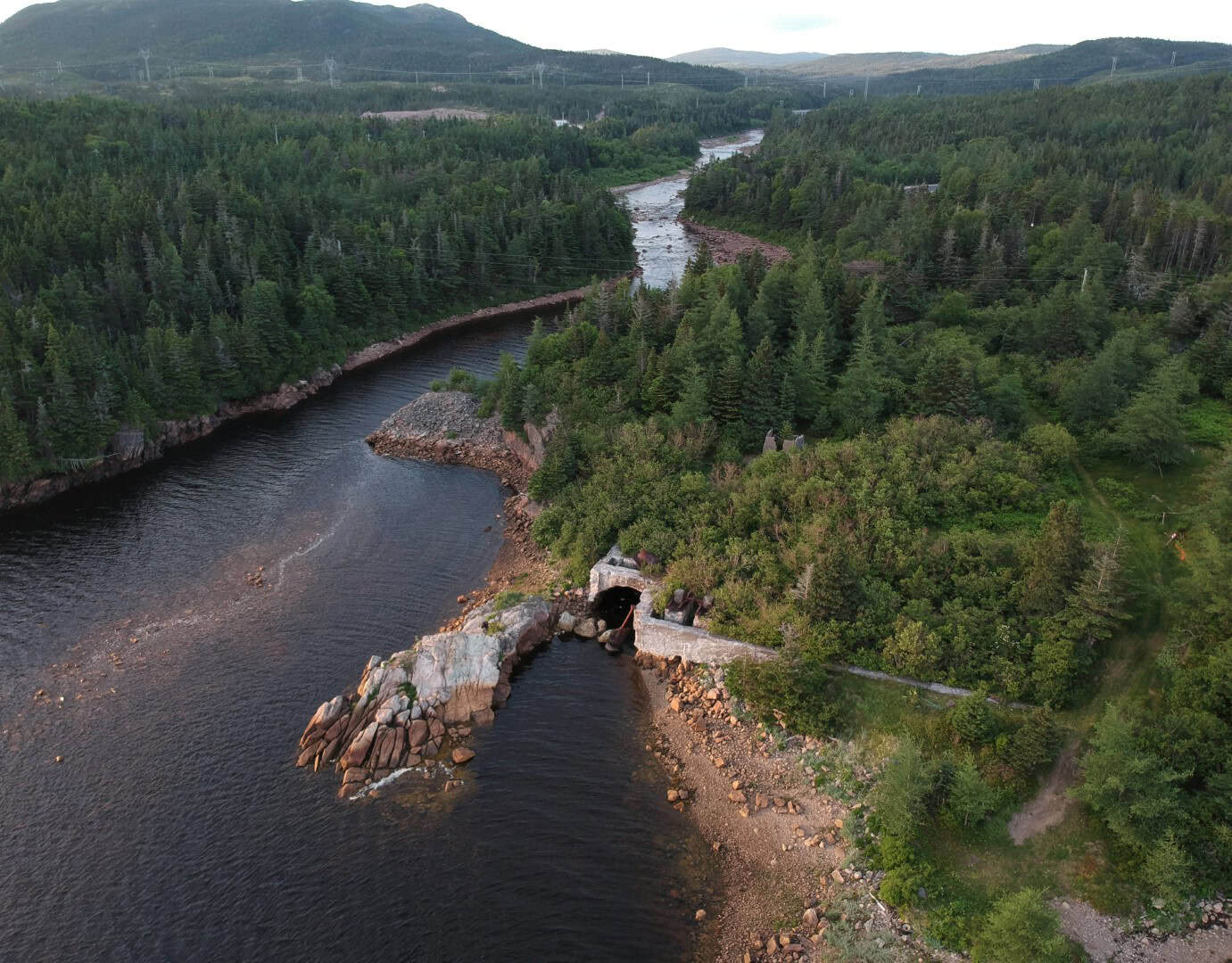 Ruins of the Black River Pulp Mill surrounded by lush forest and flowing river.