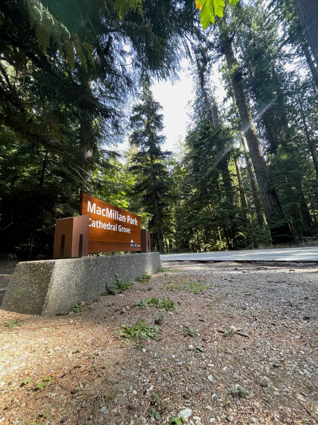 Entrance sign to MacMillan Park Cathedral Grove in a lush forest.