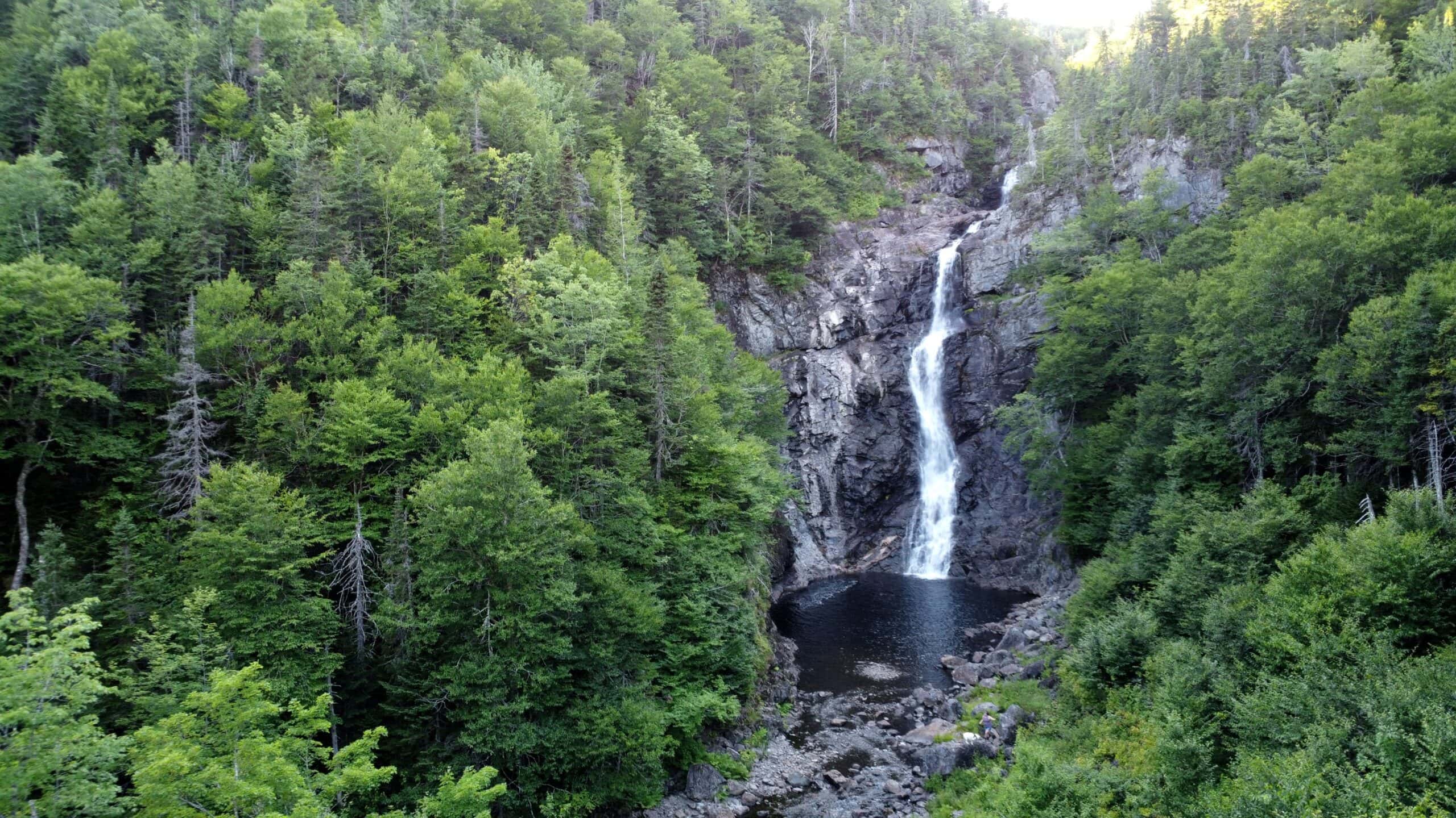 Scenic waterfall cascading into a pool surrounded by dense green trees.