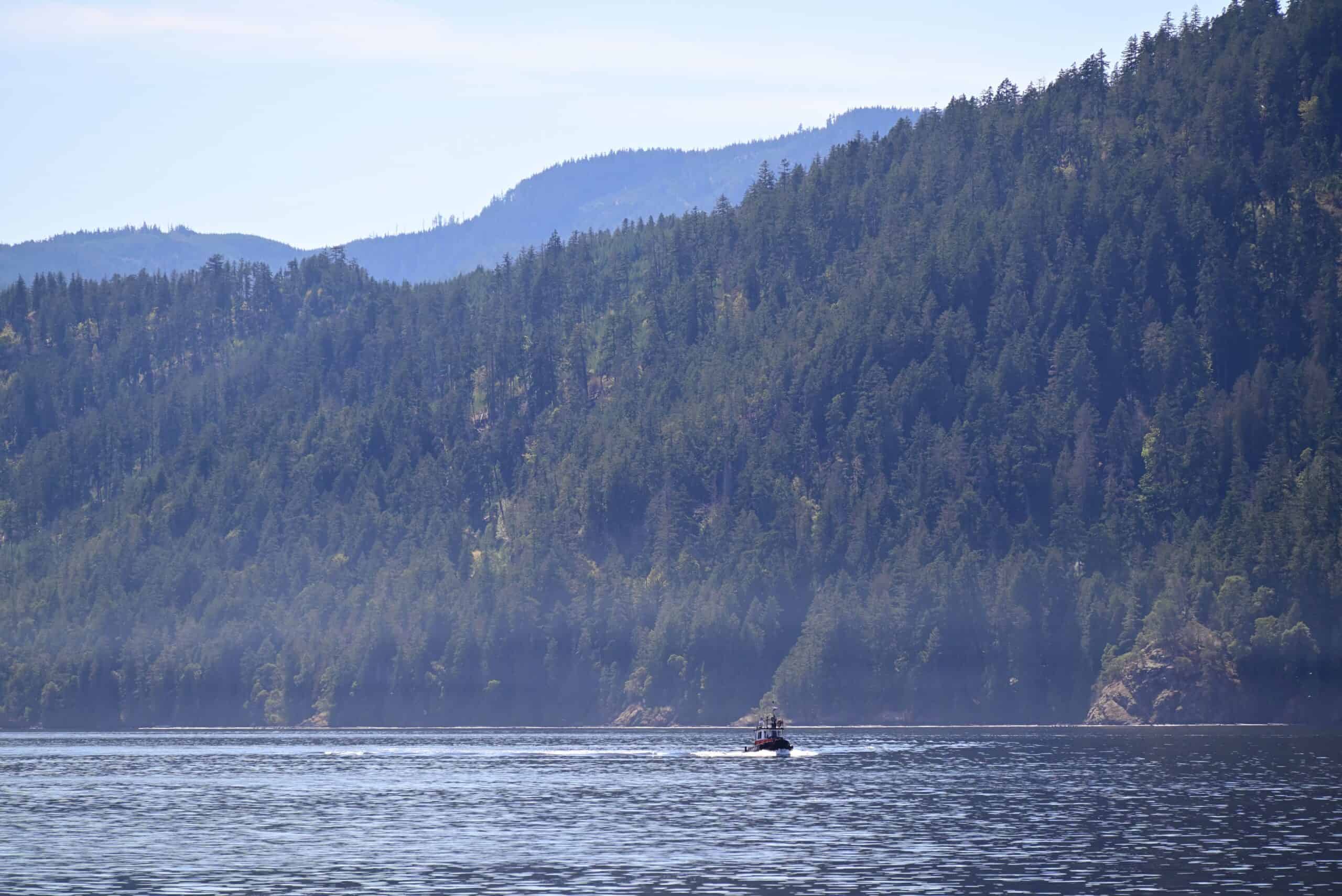 Serene water scene with forested mountains in Tofino, BC.