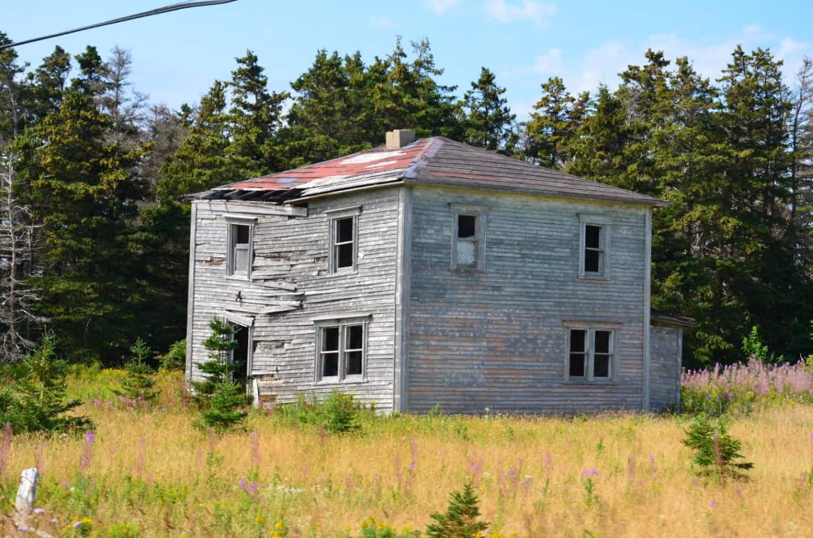 Abandoned two-storey wooden house in a field with wildflowers and trees.