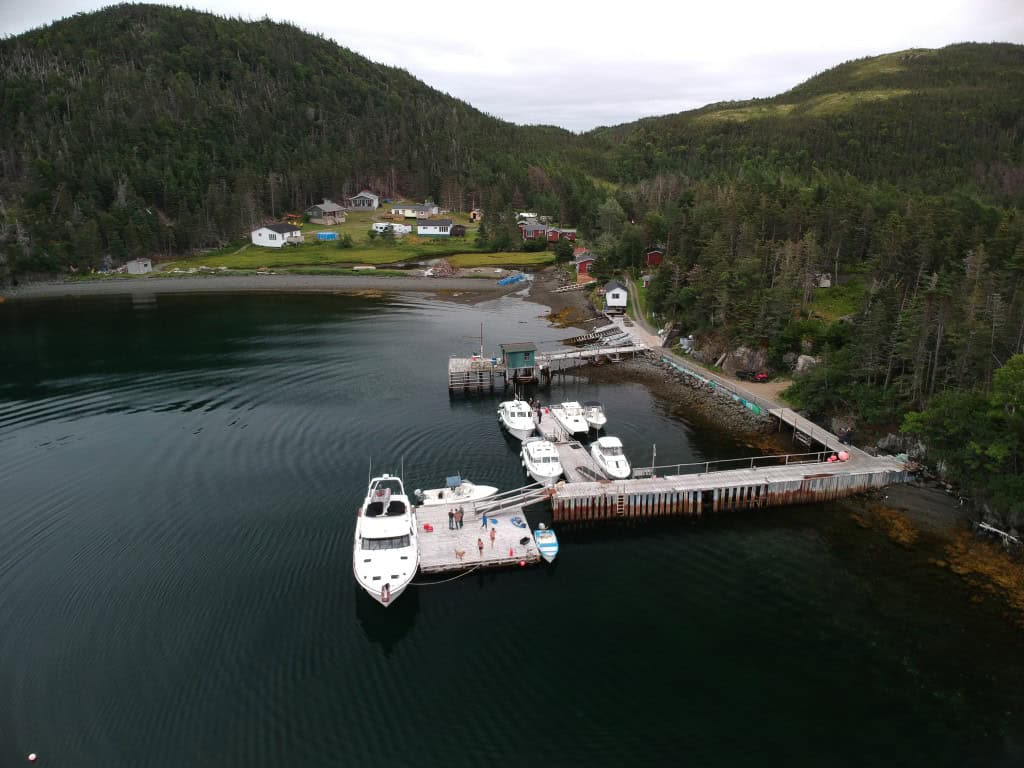 Coastal harbor with boats docked at a pier near forested hills.