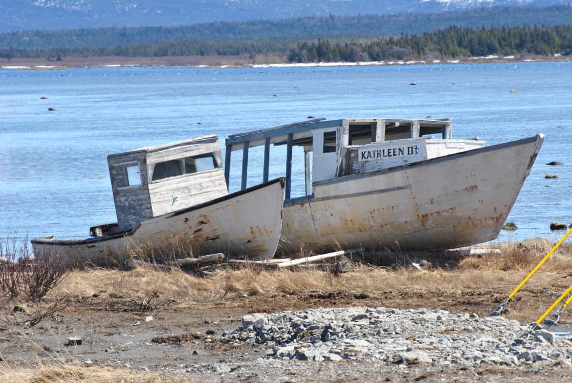 Abandoned boat on a shell-strewn shore near calm blue water and distant trees.