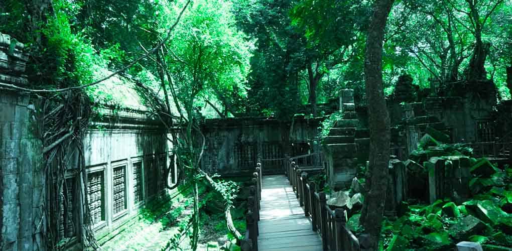 Beng Mealea temple