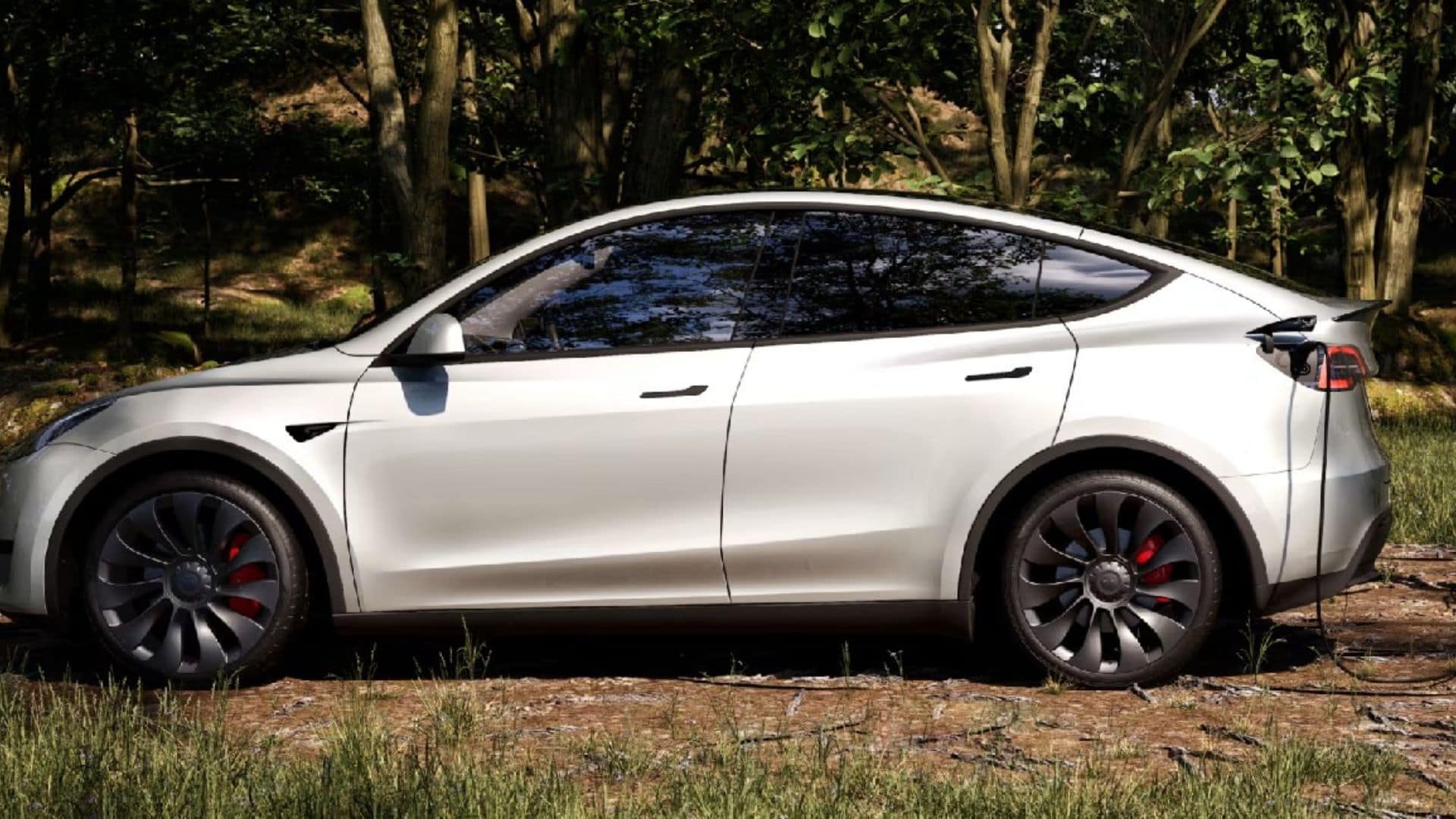Reparación coche eléctrico Tesla Model Y en Murcia