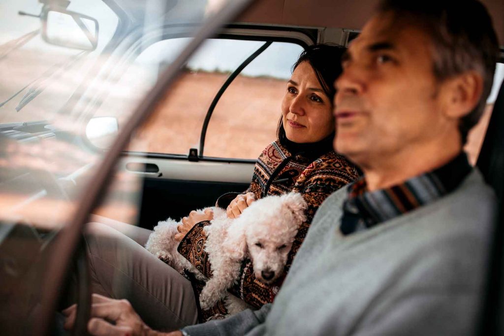 couple-driving-with-dog