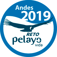 Reto 2019