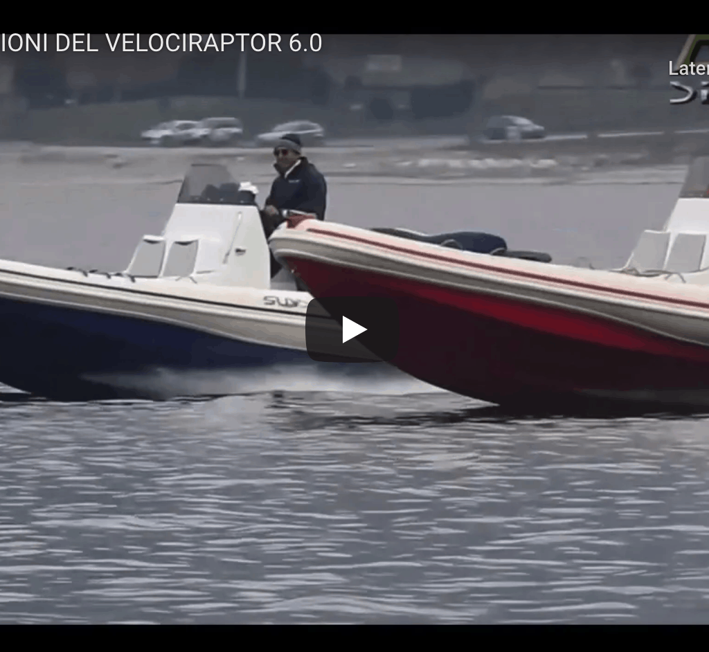 Two Versions of Rigid Inflatable Boat Model Velociraptor 6.0 by Avila Two Versions of RIB Model Velociraptor 6.0 by Avila @ RIBs ONLY - Home of the Rigid Inflatable Boat