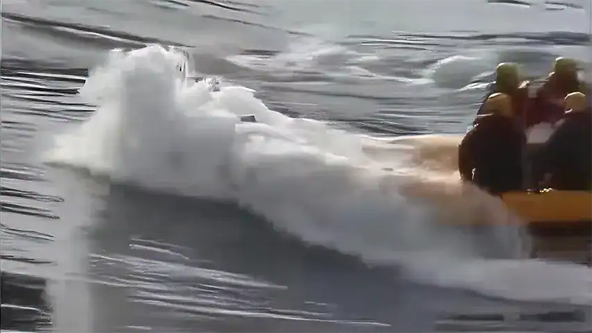 White Water Jet RIBs Ribworker in 4K @ RIBs ONLY - Home of the Rigid Inflatable Boat