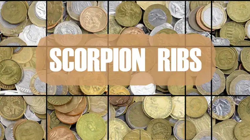 Scorpion RIBs Secures Private Investment @ RIBs ONLY - Home of the Rigid Inflatable Home