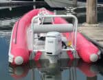 Pink Gemini WR505 Tender engine @ RIBs ONLY - Home of the Rigid Inflatable Boat